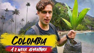 COLOMBIA  2 Week Adventure | Ep2: Salento, Cocora, Tayrona, Cartagena