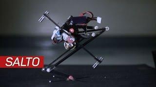 Salto: The cute jumping robot that opens the door for cyborg ninjas