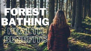 Why Does Forest Bathing Boost Natural Killer Cell Function?