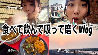 【インド嫁生活】お酒とお肉を目指す旅【国際結婚】【Vlog】