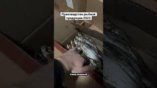 Снять полный обзор на рыбное производство? #рыба #вяленнаярыба #вобла #астрахань