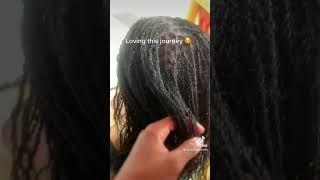 Loc journey  #locs4life #microlocs #fyptiktok #influencer