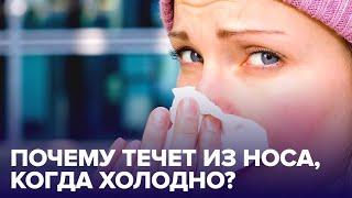 Почему на морозе течет из НОСА?