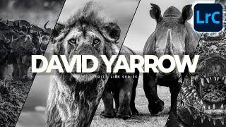 How to Edit WILDLIFE Photography like DAVID YARROW in Lightroom Classic Tutorial Free Preset