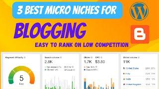 Micro Niche Blog Topics 2023|Micro Niche Blog ideas|low competition micro niche blogging