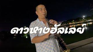 ดาวหางฮัลเลย์ (Halley's Comet) - fellow fellow | Saxophone(แซกโซโฟน) | Cover | เภา โซปราโน่