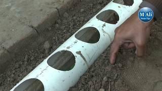 Pvc Pipe Projects For Plants / Pvc Pipe Gardening  (M Ali Home Tips)