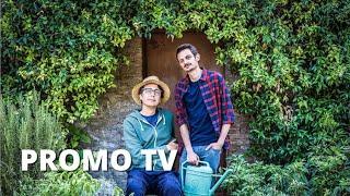 IL VEGETALE (2018) | Promo tv