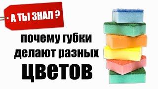 Почему ГУБКИ для Мытья посуды РАЗНЫХ ЦВЕТОВ. А ты знал?