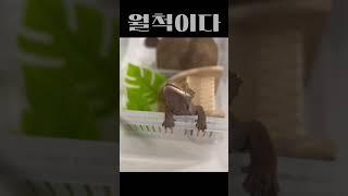 낚시~