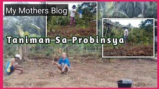 my family life in quezon province | farming | mothers blog | @judays vlog