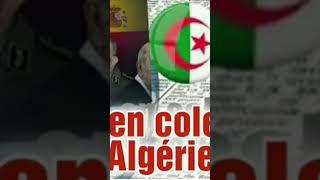 زوروا   اخبار البلاد  Akhbar-Leblad  et Algérie  aux yeux des voisins et Izly amazigh