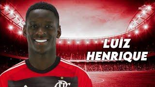 Luiz Henrique 2023 - Bem Vindo ao Flamengo? - Skills & goals | HD