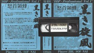 Ancient Dodonpachi Superplay VHS Discovered! ZBL-SOF-NAI 710,026,370 (Ship C-S)