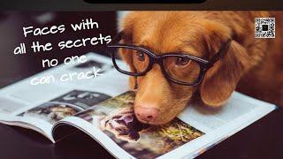 Faces which keep all secrets to themselves! ! Secrets are secrets, dogs are the best secret keepers