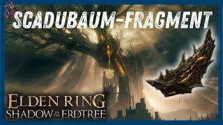 Finde alle 50 Scadubaum-Fragmente im ELDEN RING DLC | Elden Ring DLC Guide