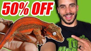 50% OFF DEADPOOL GECKOS? Black Friday Preview!