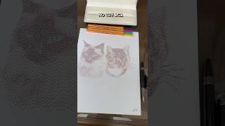 Cat Drawing! #catdrawingeasy #catdrawing #catdraw #catdrawings #catdrawingforkids #catartist #catart