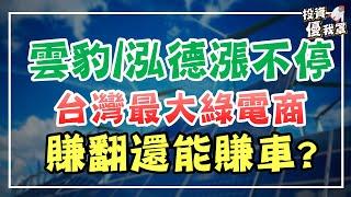 綠電該怎麼選？雲豹、泓德能源的分析與趨勢 ft. 股魚 講股第五十集_雲豹能源(6869)、泓德能源(6873)