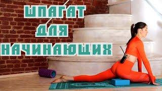 Обучение продольному шпагату с нуля. Растяжка для начинающих. Растяжка с Кутузовой