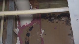 Orange renter forced to relocate after black mold discovery is still required to pay rent