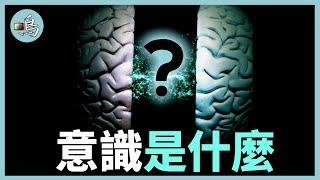 意識怎樣產生，它被困在大腦裡嗎？最新科學研究顛覆認知 l What is consciousness？