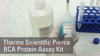 BCA Protein Assay Reagent (bicinchoninic acid)