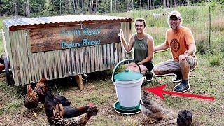 Finally an Automatic Chicken Waterer that's Easy to Use (Could it be TRUE?)