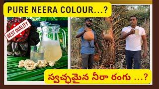 స్వచ్ఛమైన నీరా రంగు ఏమిటో తెలుసా ?? || Pure Neera Colour..??#viral #trending #kallu  #eethakallu