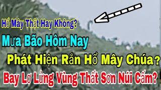 Có Phải Vùng Thất Sơn Núi Cấm Xuất Hiện Rắn Hổ Mây Chúa Khổng Lồ Bay Lơ Lửng ? | Đỗ Hoài Thương