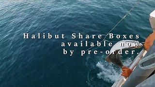 2024 Halibut Season Coming Soon - Share Box Pre-Orders Now Available!