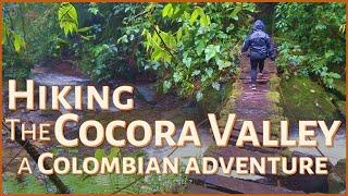 Hiking the Cocora Valley | A Wild Colombian Adventure!