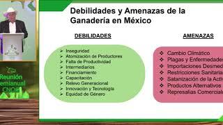 EXPORTAN 1.2 MILLONES DE PEQUENOS Y MEDIANOS GANADEROS 3 MIL 800 MDD EN BECERROS Y CARNE: CNOG.