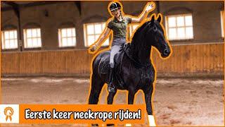 ZONDER HOOFDSTEL op BINK!! | PaardenpraatTV