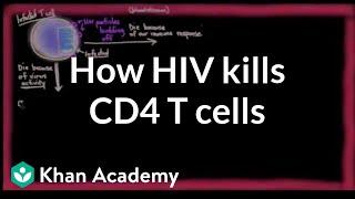 How HIV kills so many CD4 T cells | Infectious diseases | NCLEX-RN | Khan Academy