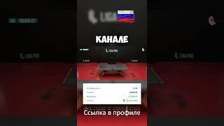 Как выигрывать ставок на команды в волейболе с высоким процентом успеха