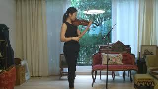 Violin excerpts for orchestral audition