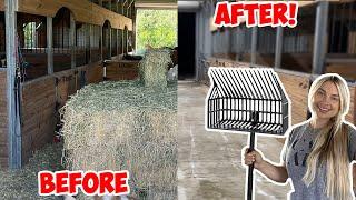 Deep Cleaning My Horse Barn! *Letting ALL MY HORSES Out Together!*