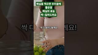 [과일효능] 매실효능 매실청 황금레시피와 놀라운 효능 완벽 가이드 다이어트 #과일효능 #이슈 #영양식