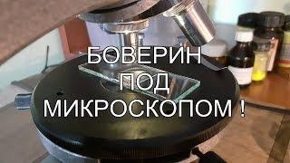 Боверин под микроскопом