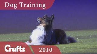 How to Train Your Dog with Mary Ray | Crufts Dog Show