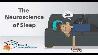 BrainHQ Academy: The Neuroscience of Sleep