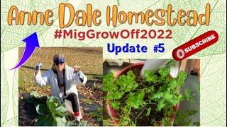 #MigGrowOff2022 Anne Dale Homestead