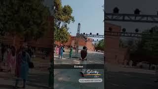 Econ fest ️ #alhamra #lahore #econfest