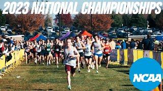 2023 NCAA D3 Cross Country Championships