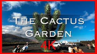 The Cactus Garden Lanzarote created by the artist César Manrique