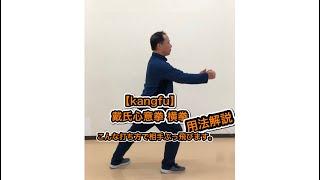 【Kangfu】戴氏心意拳 横拳　解説 DaishiXinyiquan