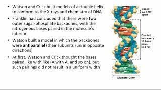 BCOR011WL Chpt 16 - GeneticBasis