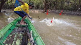 KAMI KIRA CUMA IKAN KERANDANG TAPI INILAH YANG TERJADI