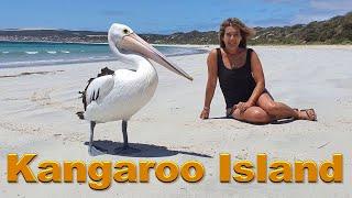 Kangaroo Island,  The Best things to see. South Australia.